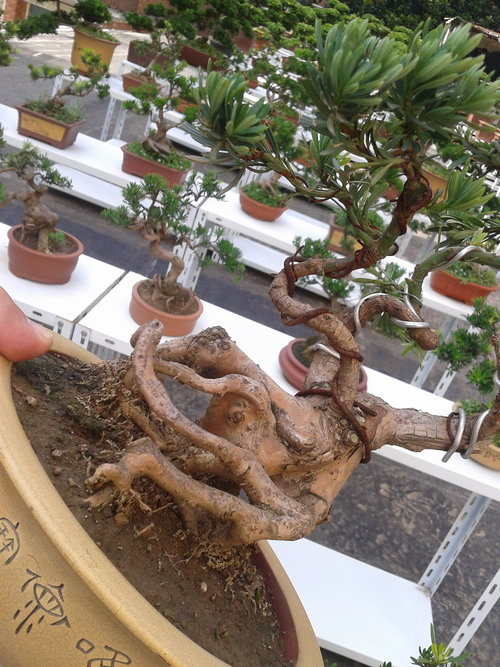 2013-07-13 15.13.14.jpg