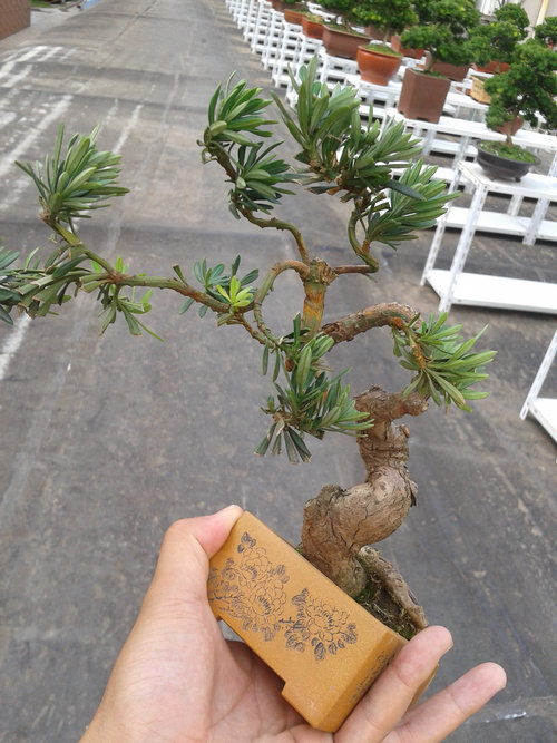 2013-07-13 14.53.23.jpg