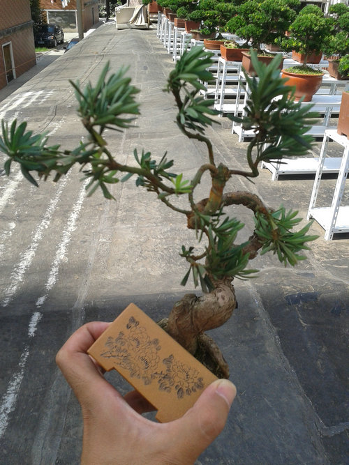 2013-07-13 14.57.05.jpg