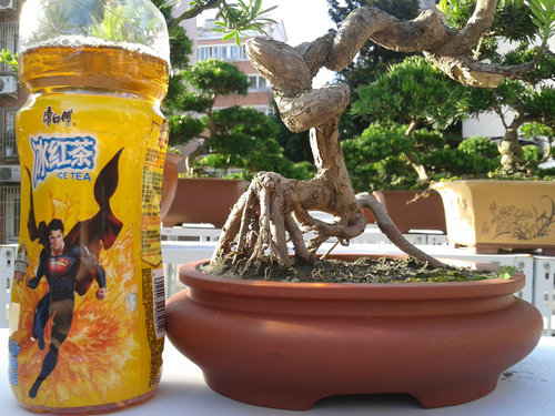 2013-07-13 17.20.29.jpg