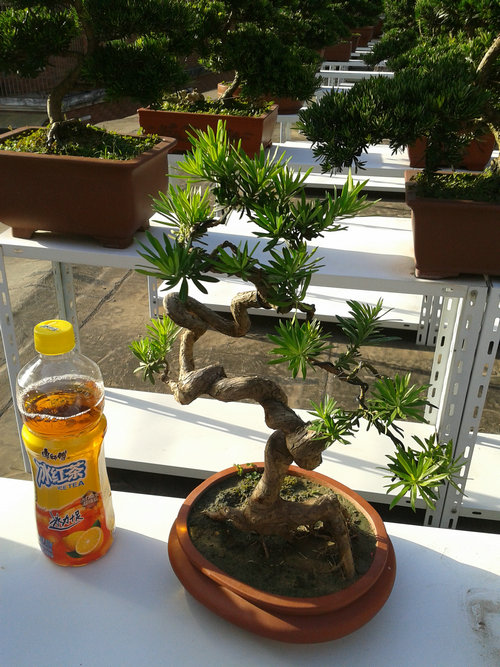 2013-07-13 17.16.39.jpg