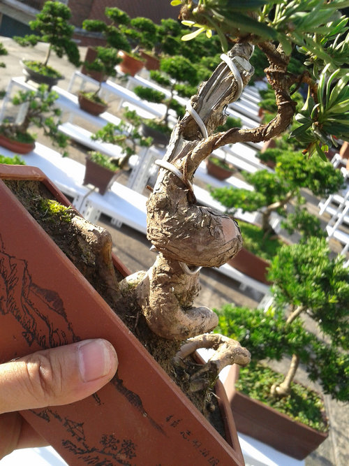 2013-07-13 17.33.45.jpg