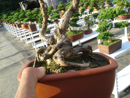 2013-07-13 17.28.35.jpg