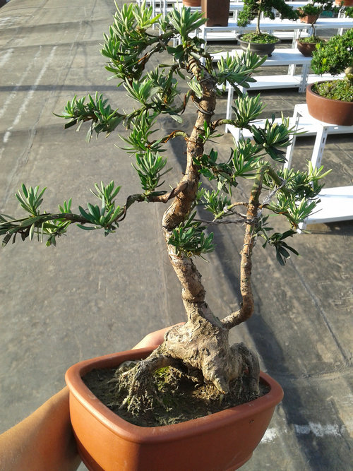 2013-07-13 17.28.55.jpg