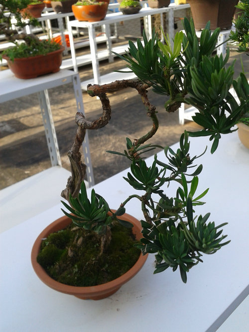 2013-07-13 17.27.37.jpg