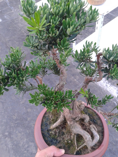 2013-07-13 17.21.38.jpg