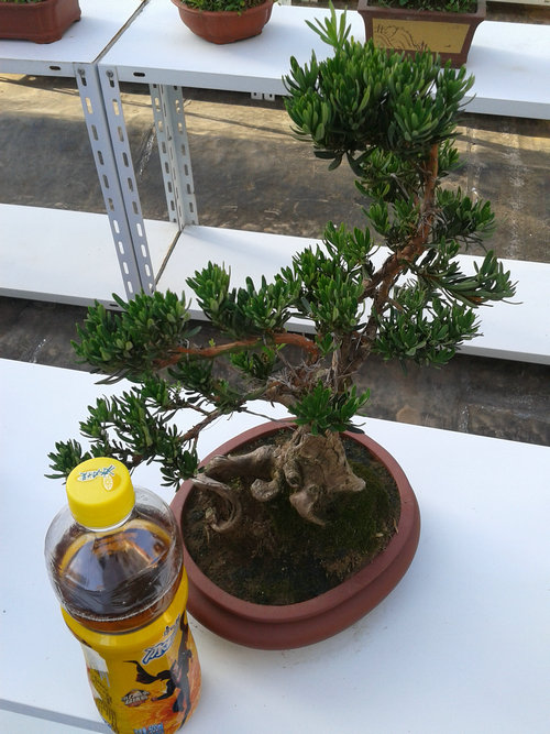 2013-07-13 17.23.57.jpg