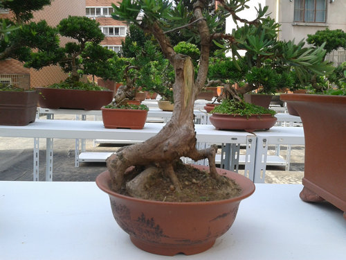 2013-07-13 14.57.49.jpg