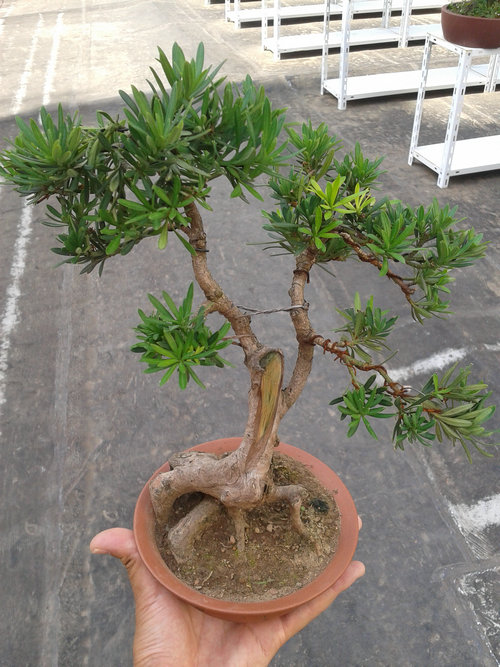 2013-07-13 14.58.19.jpg