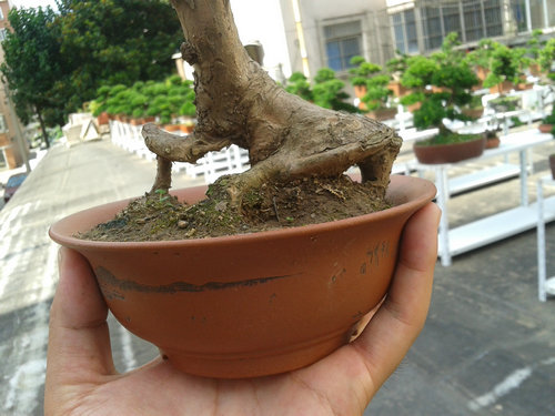 2013-07-13 14.58.52.jpg