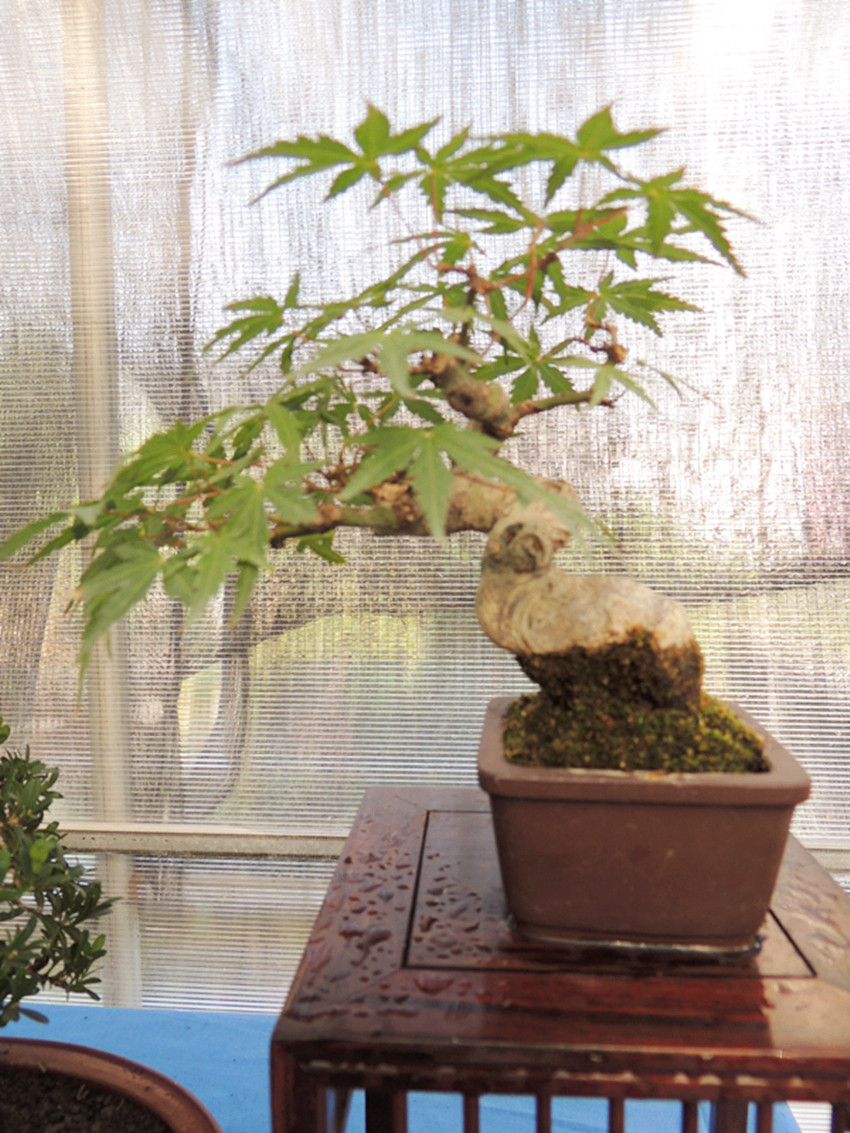 DSCN1221_ת_.jpg