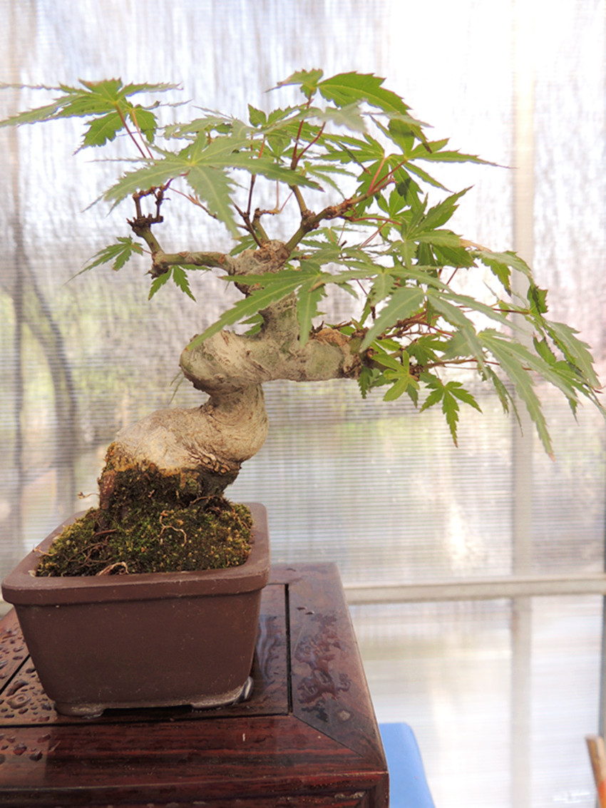 DSCN1222_ת_.jpg