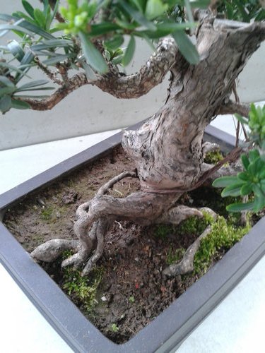 2013-04-17 17.35.11.jpg
