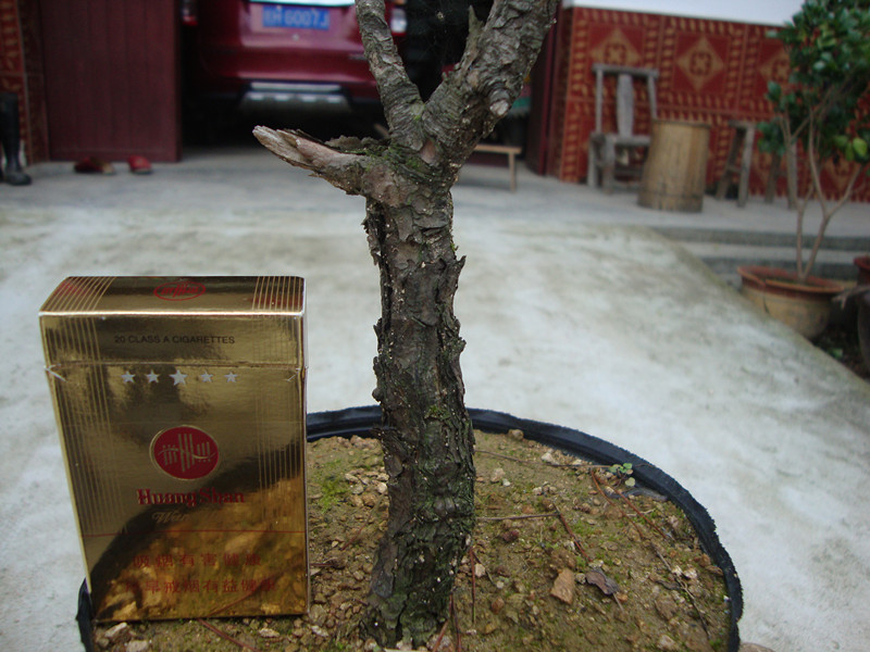 DSC01285_.jpg