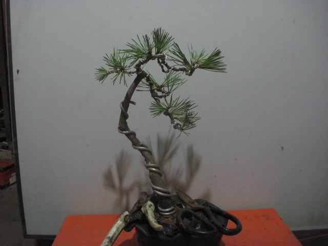 13-07-15С 005.jpg