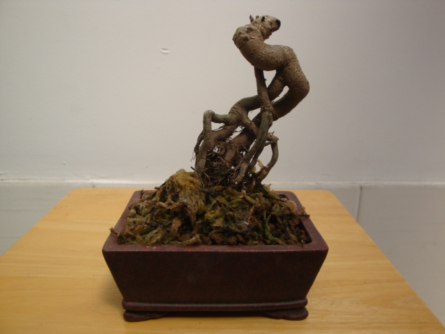DSC03348.JPG