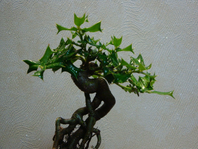 DSC04472.JPG