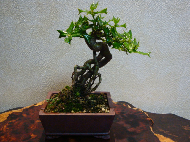 DSC04473.JPG