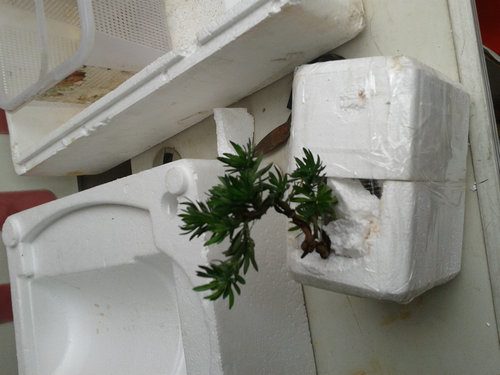 2013-06-11 14.08.59.jpg