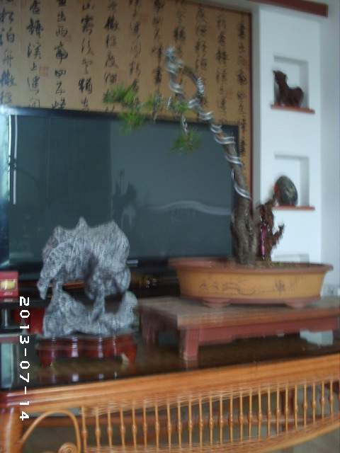PHOT0109.JPG