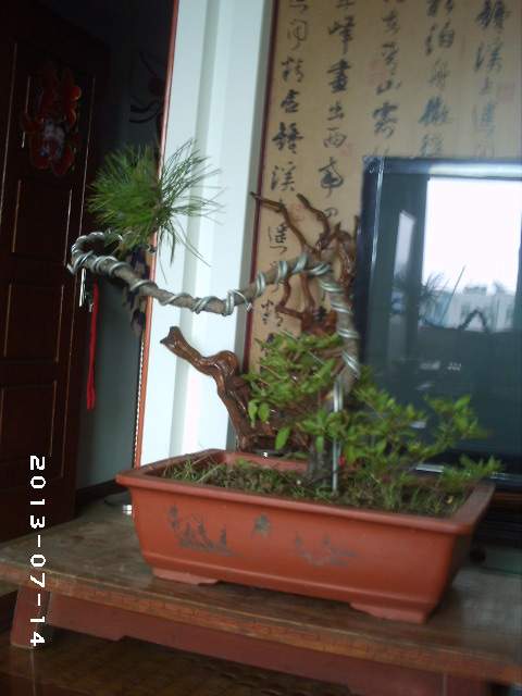 PHOT0113.JPG