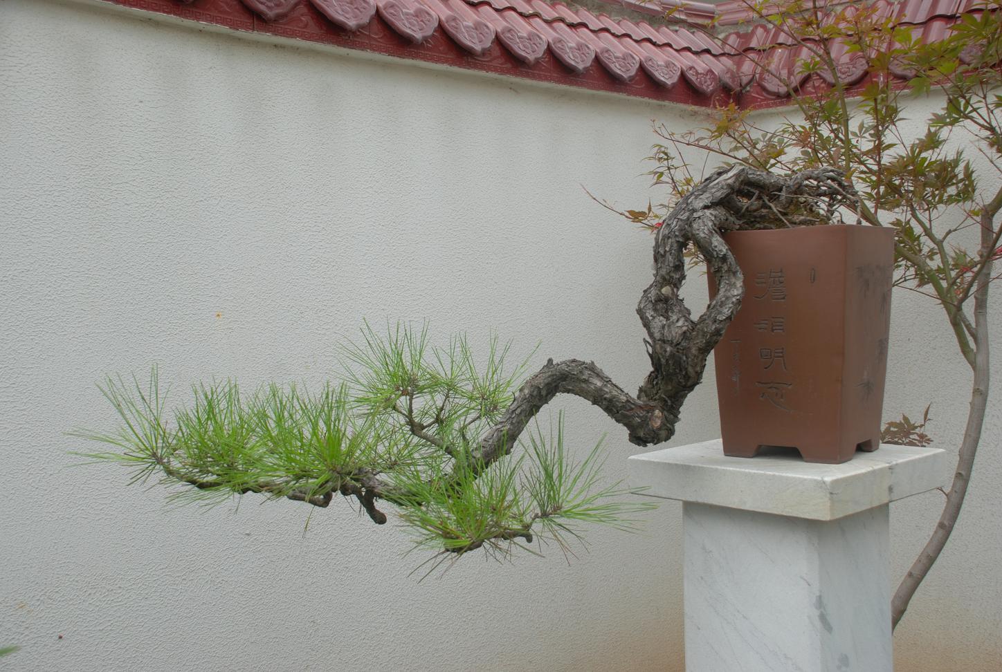 DSC_3395.JPG