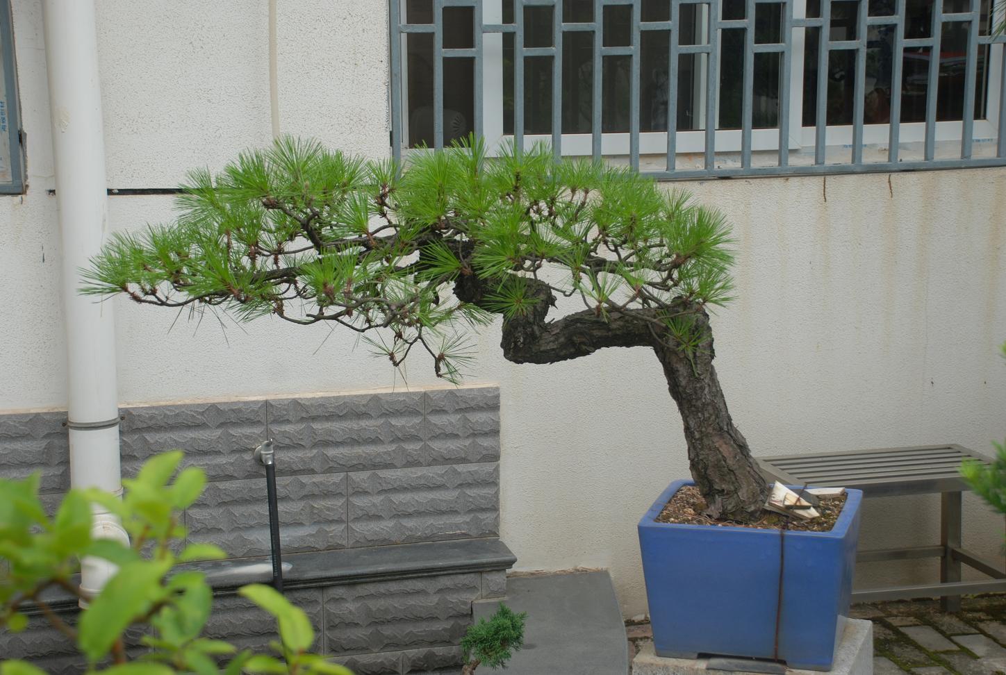 DSC_3397.JPG
