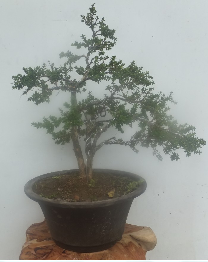 QQͼ20130716202802.jpg