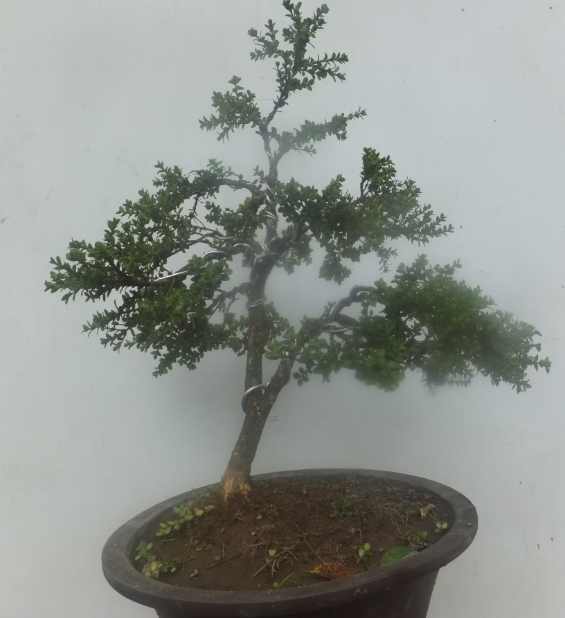 QQͼ20130716202403.jpg
