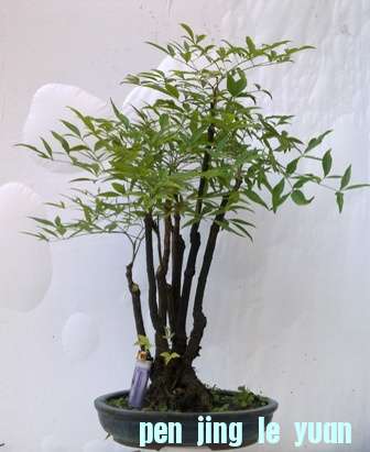 20130718619.jpg