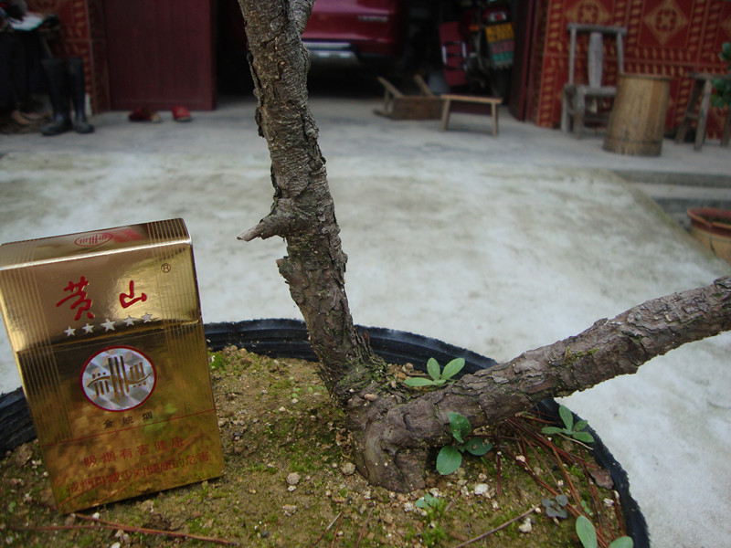 DSC01293_.jpg