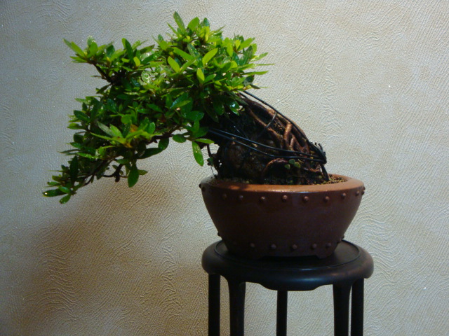 DSC04449.JPG