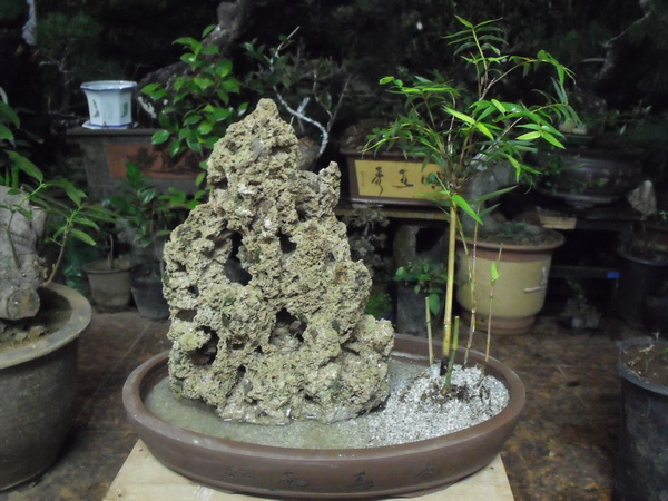 DSCF0102.JPG