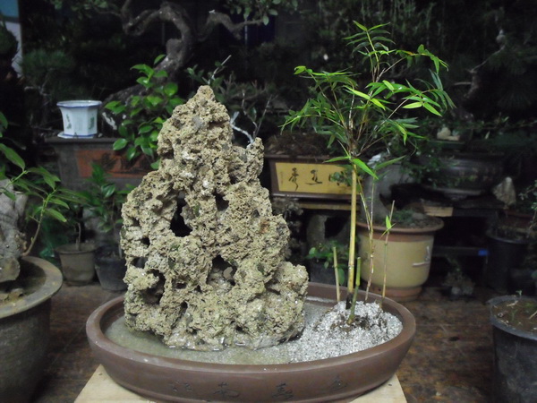 DSCF0103.JPG