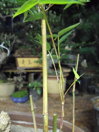 DSCF0106.jpg