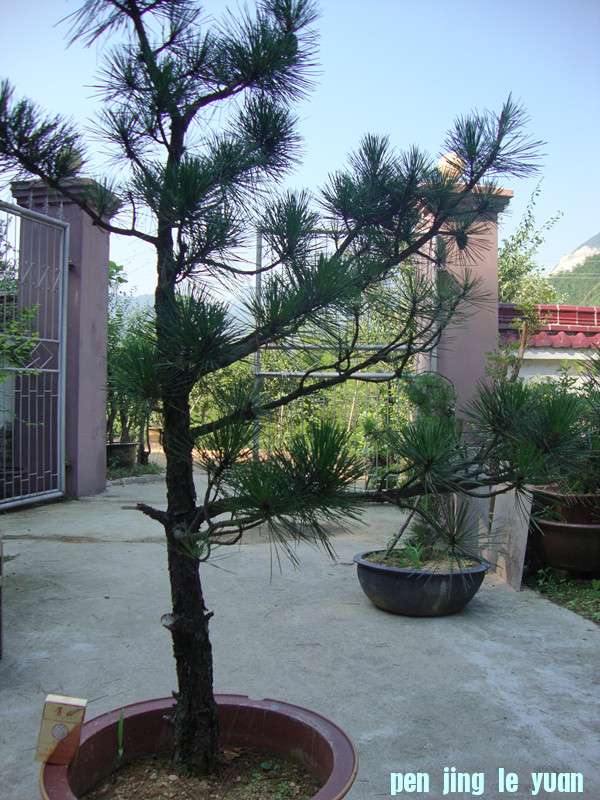 DSC01302_.jpg
