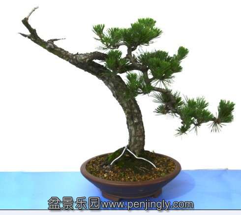 QQͼƬ20130721203909.jpg