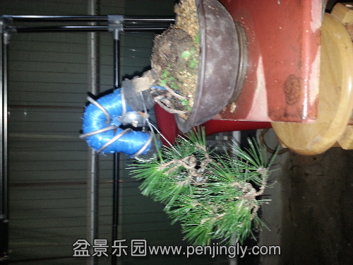 20130619_224424.jpg
