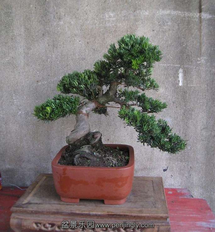 Ƭ 16210.jpg