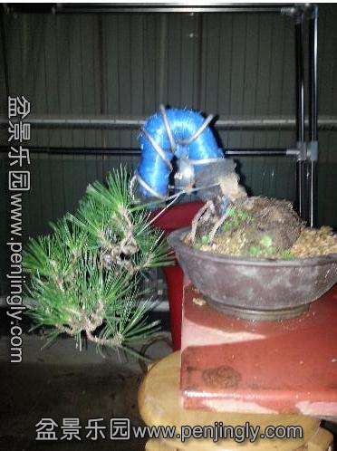 QQͼ_20130722214139_0B63E3B9C866413b802B021CACD56005.jpg