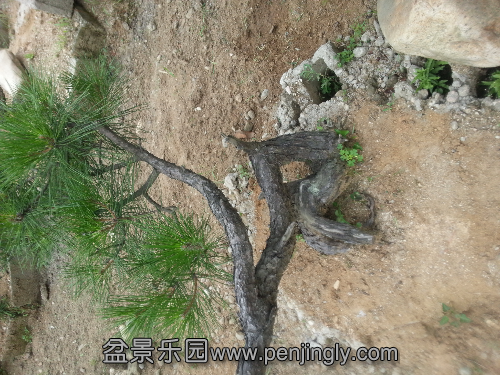 20130705_090732.jpg