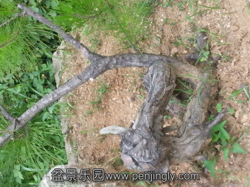 20130705_090556.jpg
