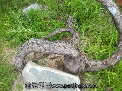 20130621_162458.jpg