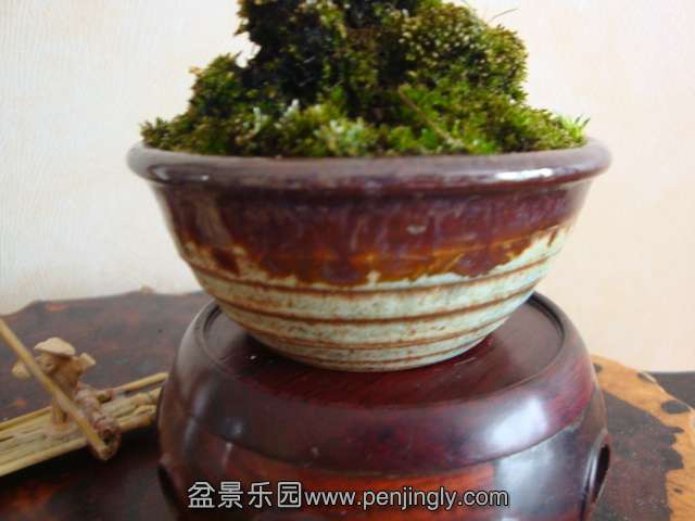 DSC04614.JPG