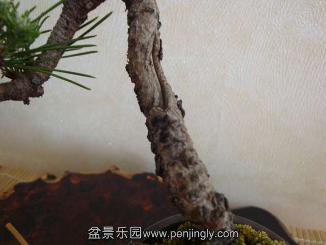 DSC04608.JPG