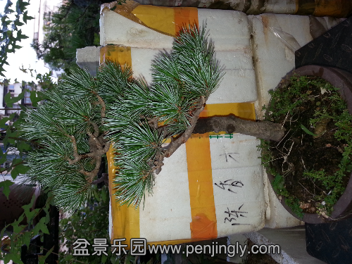 20130723_185914.jpg