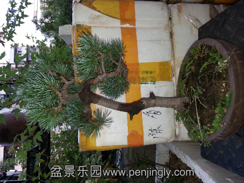 20130723_185834.jpg