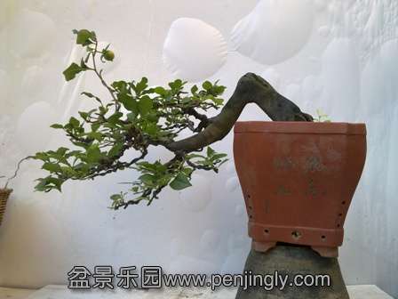 20130724693.jpg