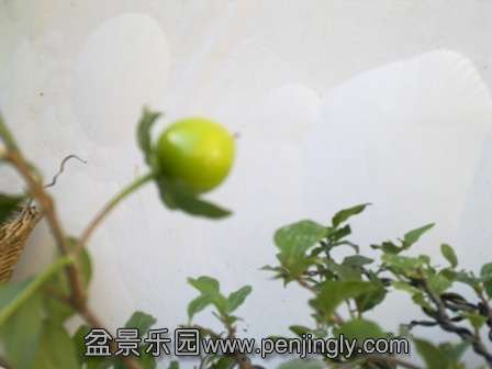 20130724696.jpg