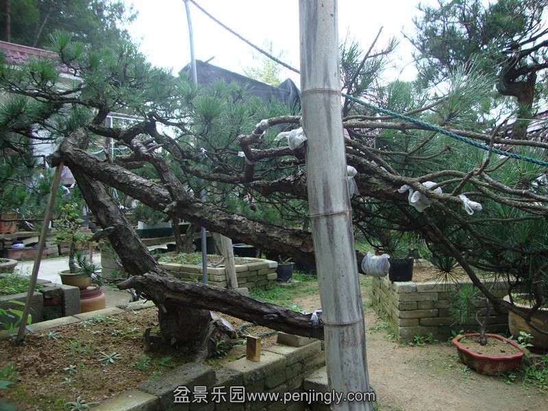 DSC01338_.jpg